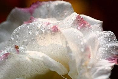 独立游戏《水鬼》9月6日中元节正式发售Steam，本体32元首周9折！